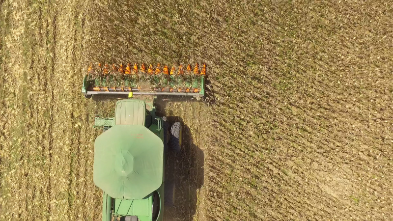 3ª Abertura da Colheita do Milho 